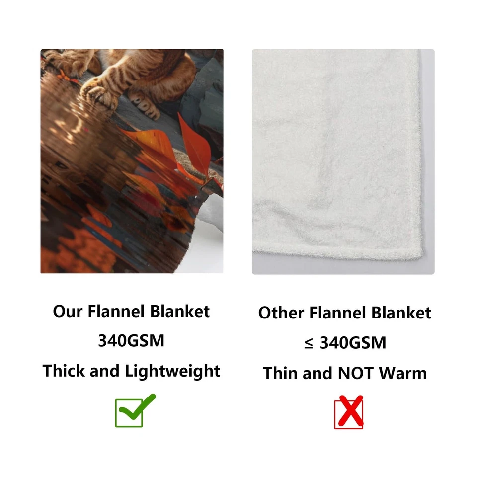 Manta de franela de leones, 50 x 60 pulgadas - 340GSM acogedora ligera gruesa otoño B... Foto 4 de 4