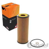 Champion ÖLfilter Filtereinsatz Passend FüR BMW 3 5 6 7 X3 X5 X6 | COF100549E