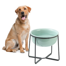 Elevated Large Dog Food Bowl Non Slip Stand 54 oz 7 cups Wide Deep Bowl NEW