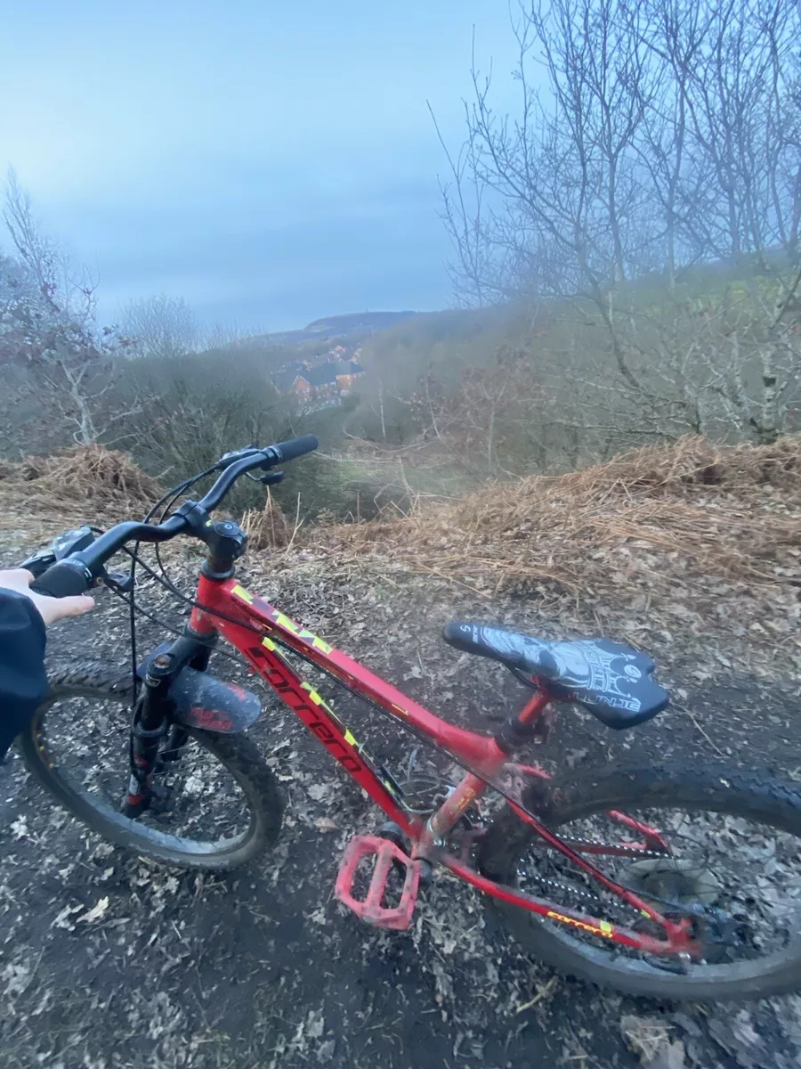 Red carrera best sale mountain bike