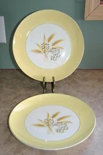 Century Service Corp - AUTUMN GOLD - 10" Dinner Plates Quantity 2