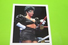 WWF CHAMPIONS 1993 MERLIN FIGURE N.251 SENSATIONAL SHERRI