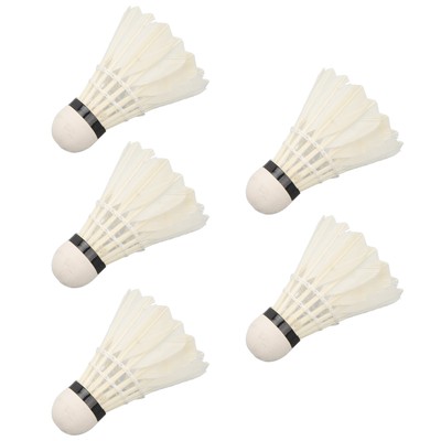 5pcs LED Badminton Shuttlecocks Dark Night Glow Birdies Lighting Switch Con CU