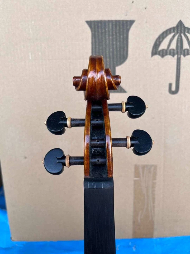 Hermoso violín 4/4 profesional nuevo hecho con orgullo en China Foto 4 de 4