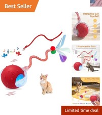 Chirping Cat Toy Ball - Rechargeable Interactive Play for Kittens Cats
