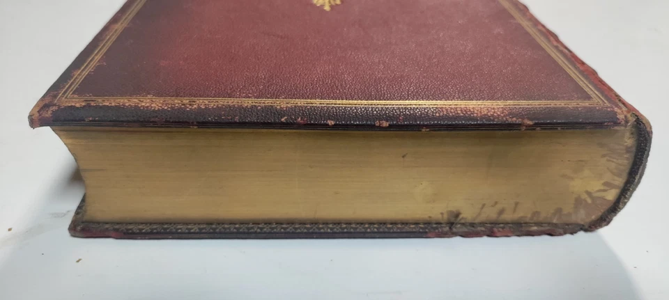 Illustrated New Testament - London, 1865 - Full STIKEMAN & CO. Leather Binding - Image 4 of 4