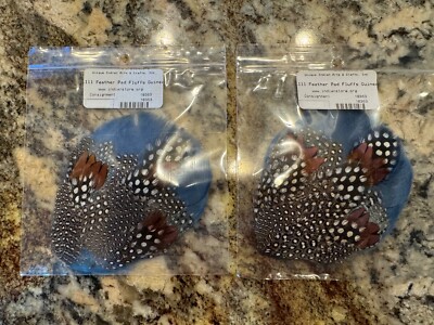 2 Guinea Feather Pad Fluffs Blue Brown Spotted 4.5'' x 3.5'' Hat Headband Purse