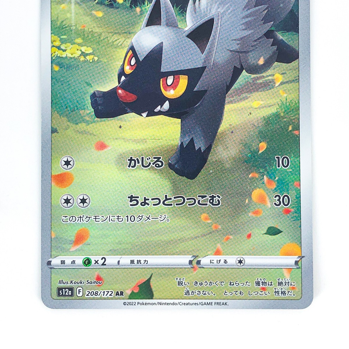 Poochyena AR 208/172 S12a VSTAR Universe - Pokemon Card Japanese