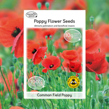 Field Poppy Seeds for Planting - Papaver Rhoeas, Poppy Flower
