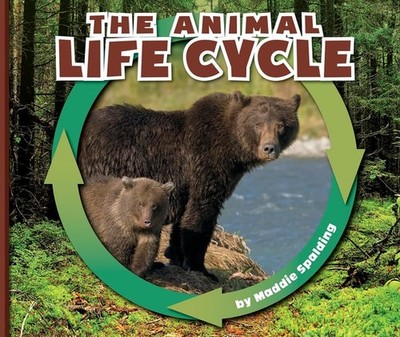 The Animal Life Cycle (Nature Cycles) by Spalding, Maddie, Good Book