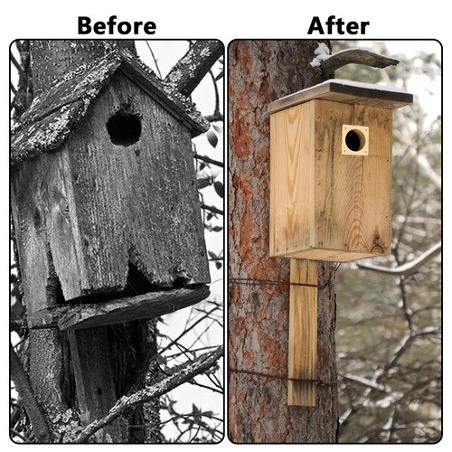 24 Pcs Metal Bird House Hole Guard Portal Bird House Hole Protector for Eastern - Picture 4 of 7