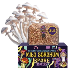 3lb Milo Sorghum Grain Spawn