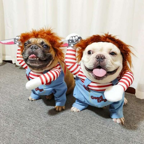 dogs dressed as chucky