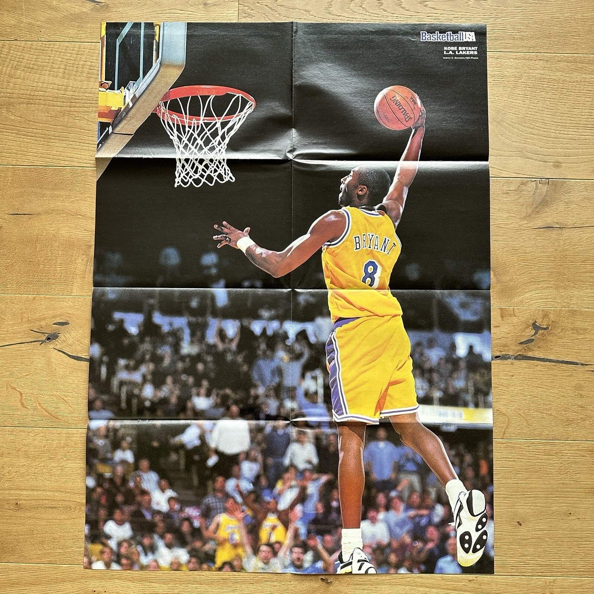 Kobe Bulls Poster NBA Trikot Jersey Air Jordan Pippen Adidas Nike