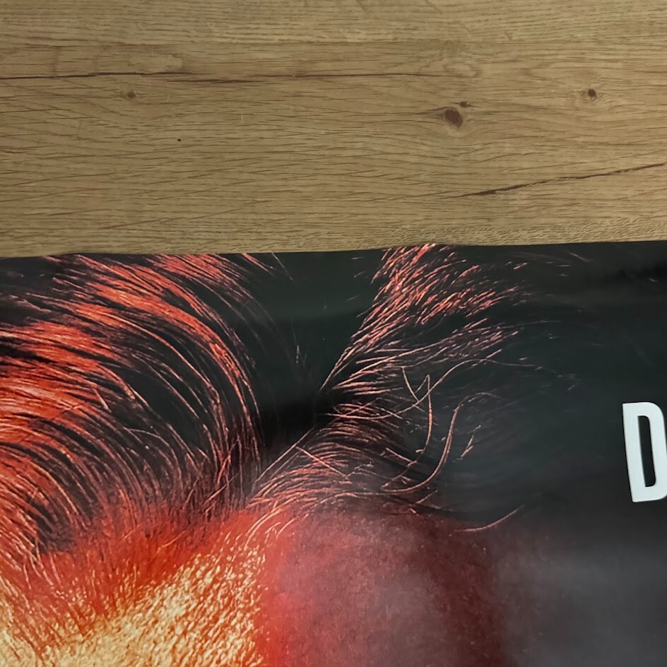 Killers Of The Flower Moon - original DS movie poster 27x40 Scorsese