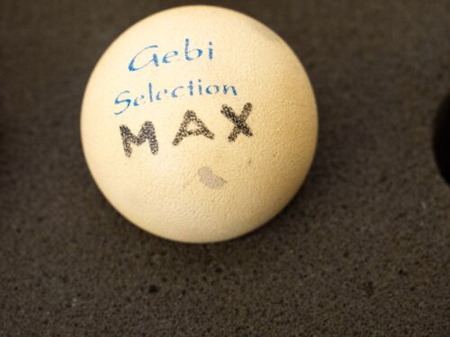 4x Gebi Selection Grün Gelb Rot Weiß Minigolfball Set Minigolf Ball - Bild 11 von 12