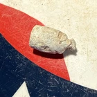 Dug Civil War 💥 🇺🇸 💣 Unusual Pulled Pistol Bullet Not Wormed