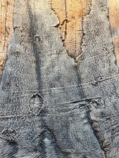 Back to Nature Rückwand SlimLine Amazonas 60A 50x55 cm f. Aquarium u. Terrarium