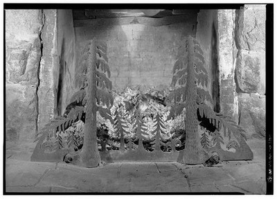 85. CLOSER VIEW ANDIRONS SERIES TREES, EXAMPLE - Mount Rainier National Park,