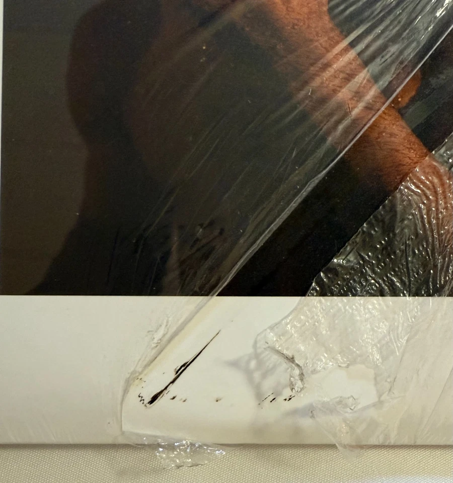 Frank Ocean Blonde 2LP Vinyl 2022  OFFICIAL REPRESS New/COVER SCUFF (See photos) - Image 3 of 3