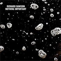 Richard Dawson - Nothing Important - Vinyl Record 12 Record - F123Z