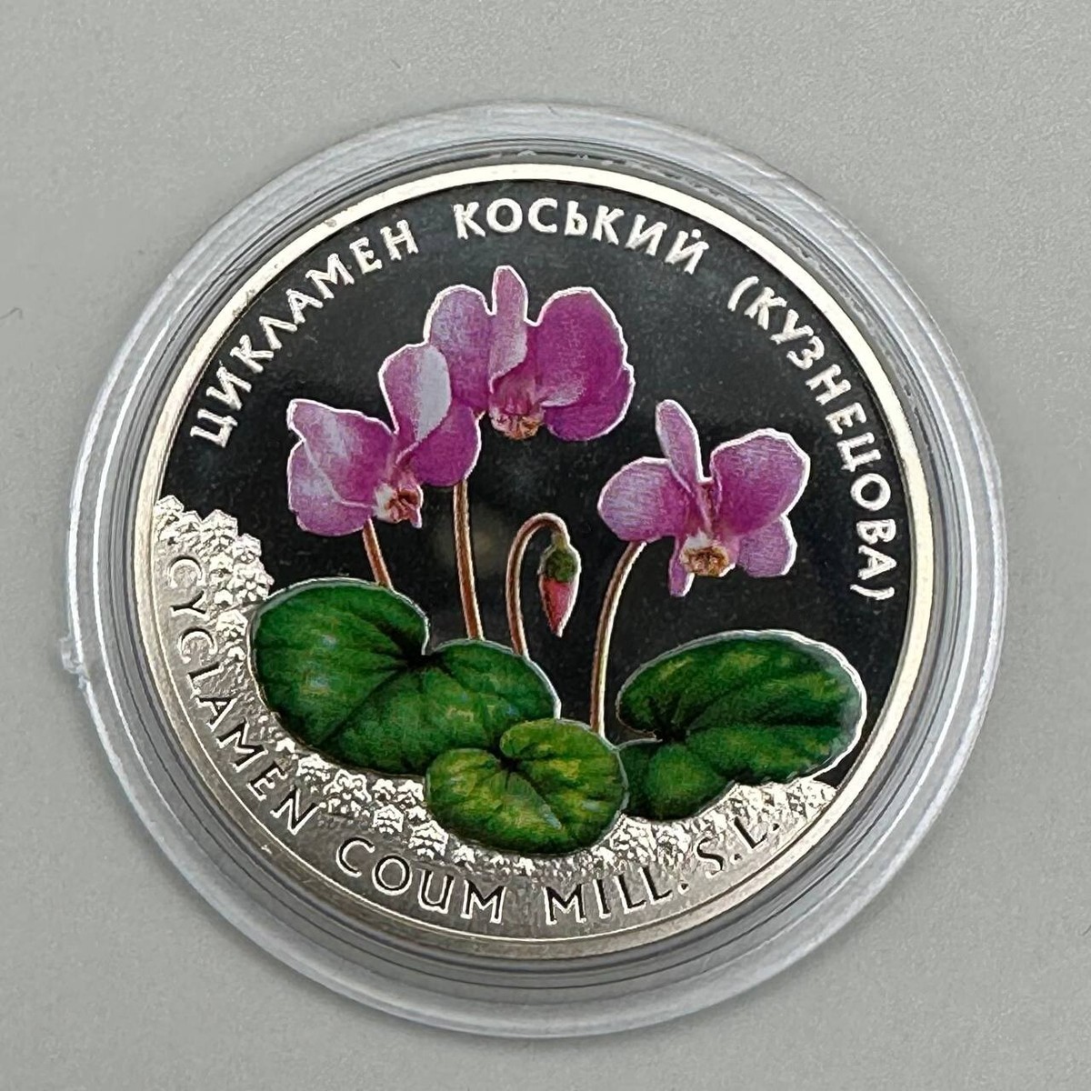Ukraine 5 hryven coin - Cyclamen coum (Kuznetzovii) /2014 / UC#231