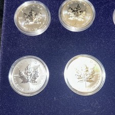 2012 Pure Silver 9999 Canadian Maple Leaf 1oz Coin