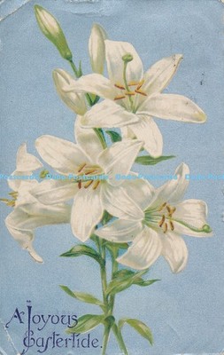 R029529 Grüße Eine fröhliche Osterzeit Blumen Wildt und Kray 1907
