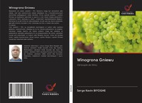Serge Kevin Biyoghe | Winogrona Gniewu | Taschenbuch | Polnisch (2020)