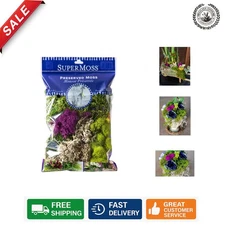 Versatile 120 cu.in. Elegant Decorative Moss Collection for Crafts & Events