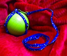 Choke Free Nylon Adjustable Harness  47  Leash for Walking For Small Cat Or Dog