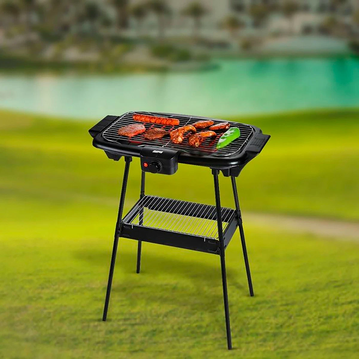 Electric bbqs clearance