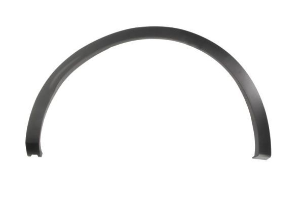Right Rear BLIC 5703-04-6090596P Trim/Protection Strip, wing for RENAULT