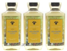 BATH  BODY WORKS SUN-WASHED CITRUS SHOWER GEL 10 FL OZ LOT OF 3 PCS 