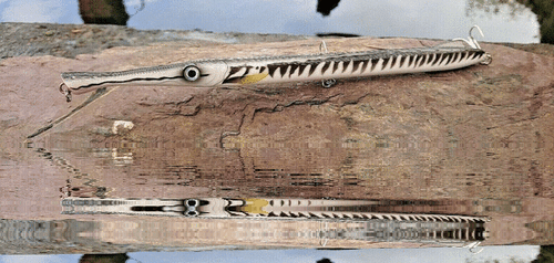 Hunt House Slim Pencil Lure 225mm 27g Top water walking Saltwater Garfish Lure - Picture 6 of 24