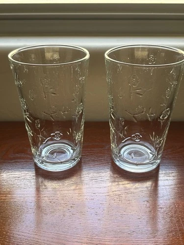 Vintage Anchor Hocking Savannah Floral Glass 17 oz. Cooler Tumblers Set of 2