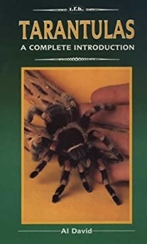 Tarantulas : A Complete Introduction Paperback Al DavidFree US Delivery | ISBN:0866223533