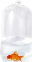 Fischereibeutel, 12,7 X 10,2 X 40,6 Cm, Auslaufsicher, Flacher Boden, Transparen