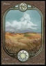 Plains - Damaged / Poor MTG Unglued
