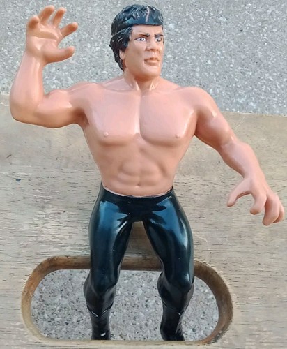 1986 LJN WWF Wrestling Superstars RICKY THE DRAGON...