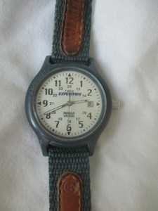 timex expedition blue