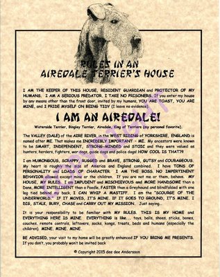 Rules In An Airedale Terrier's House