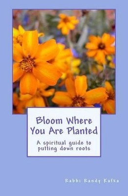 Bloom Where You Are Planted: A spiritual guide to putting down roots by Randy R.
