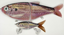 TYG Silencer Gumdrop  Shad Glide bait swimbait custom 7 and 3 inch 2 Glide baits