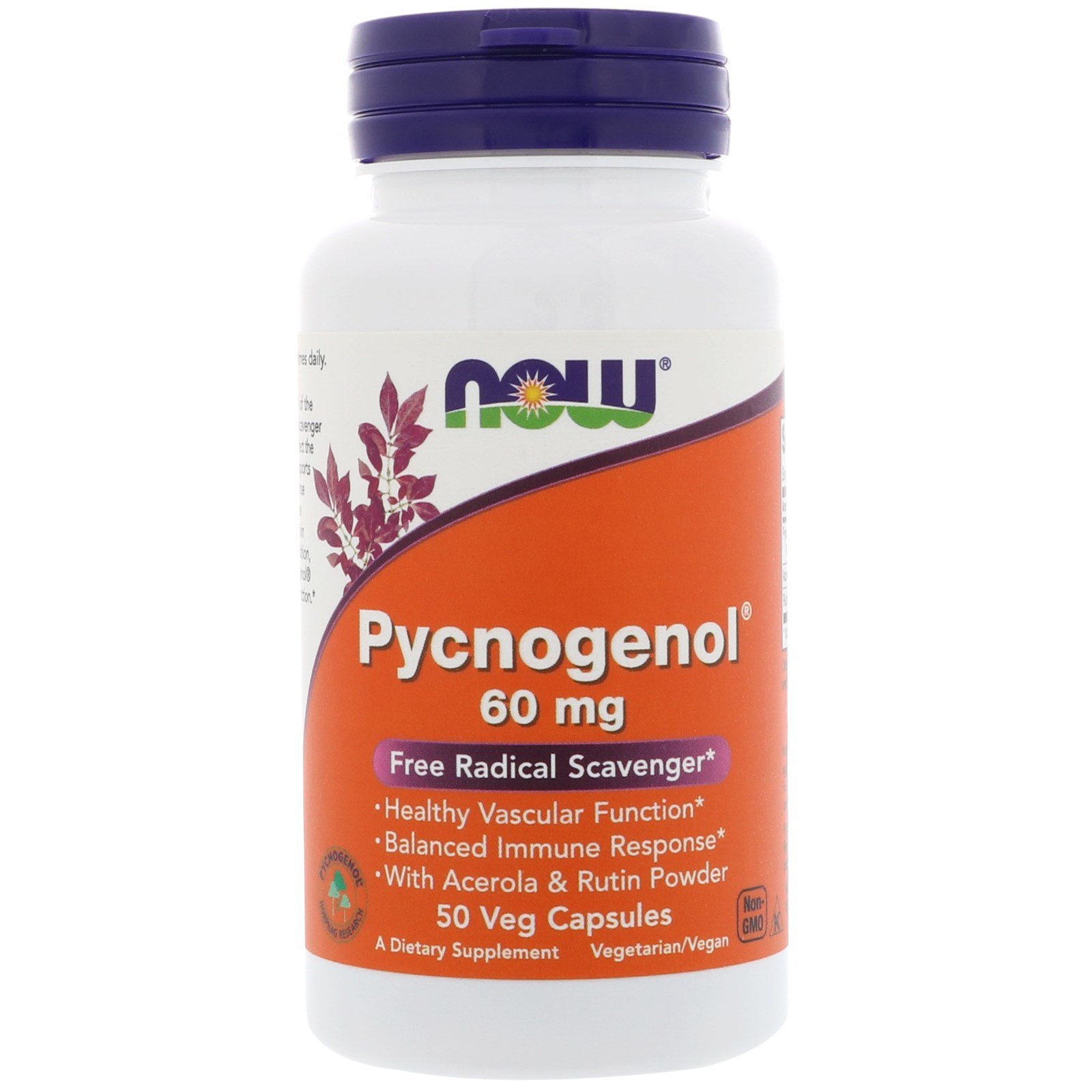Pycnogenol - 50 - 60mg Veggie Caps by Now Foods - Maritime Pine Bark ...