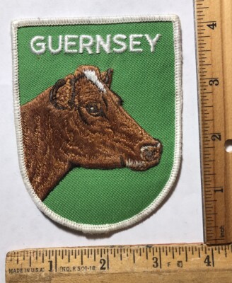 Vintage Guernsey Cattle Dairy Cow Iron On Patch Animal Barn Livestock Voyager