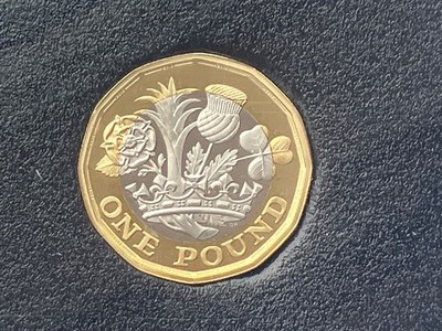 Simply Coins 1 POUND COIN PROOF ONE RARE LEFTIE LEFTY 2018