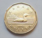 1995 CANADA Young Queen Elizabeth 11 1 DOLLAR LOONIE  - combined shipping
