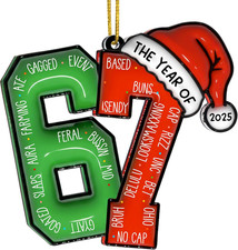 67 Christmas Ornaments for Tree, Funny Meme Ornaments for Teens