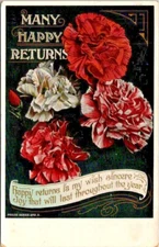 Vintage Postcard Posted 1910 Carnation Flowers ~ Many Happy Returns ~ Ships FREE